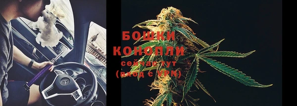 ГАЛЛЮЦИНОГЕННЫЕ ГРИБЫ Белоозёрский