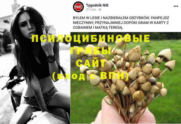 ГАЛЛЮЦИНОГЕННЫЕ ГРИБЫ Белоозёрский