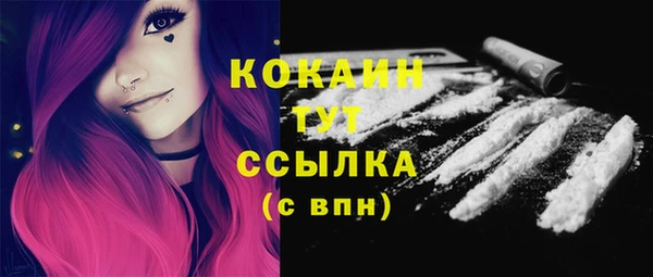 соль курить ск Белокуриха