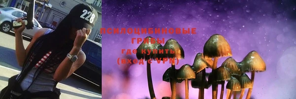 соль курить ск Белокуриха