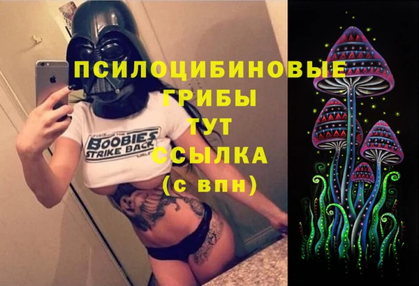Альфа ПВП Беломорск