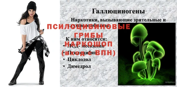 соль курить ск Белокуриха