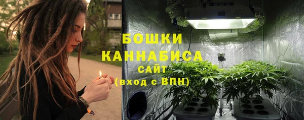 ГАЛЛЮЦИНОГЕННЫЕ ГРИБЫ Белоозёрский