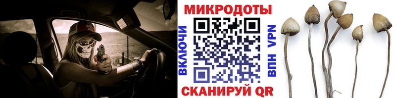 Галлюциногенные грибы мухоморы  Кинель 